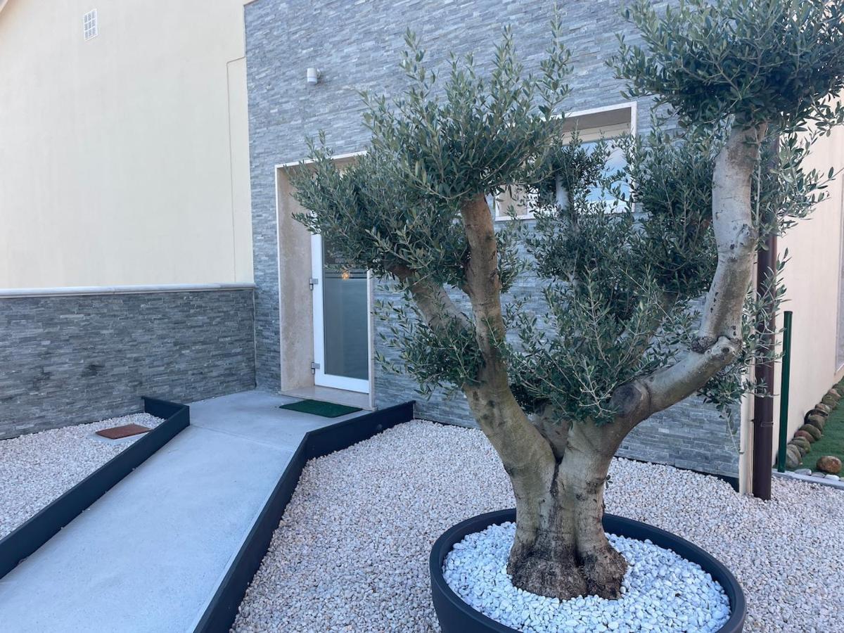 Borgo Terra Village Фаганя Екстериор снимка